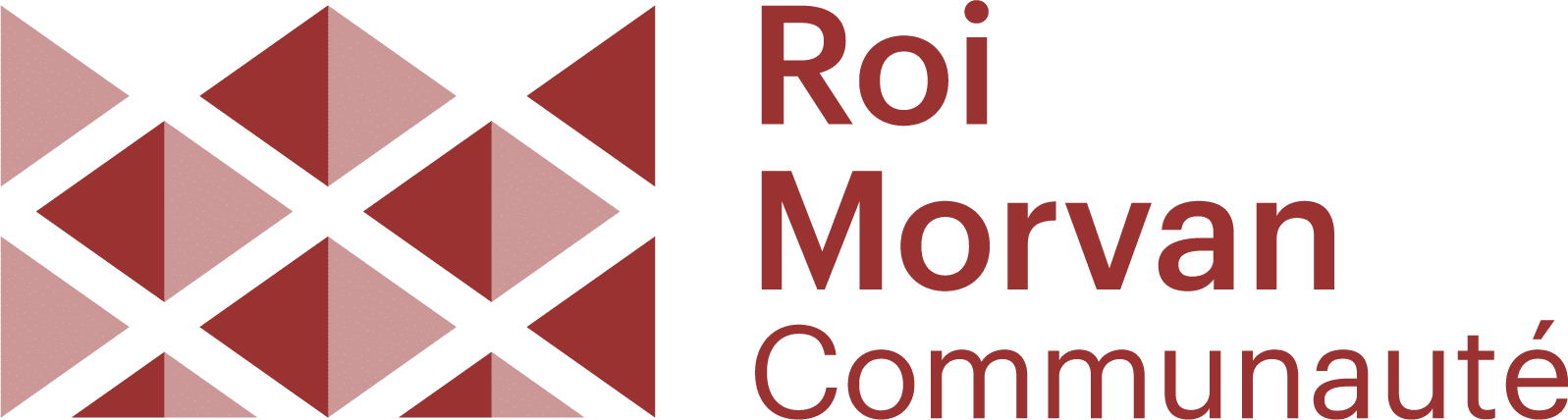 Logo RMCom horizontal